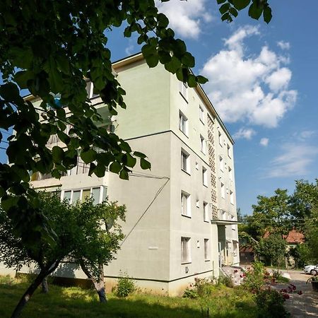Nya Apartment Сигишоара Екстериор снимка