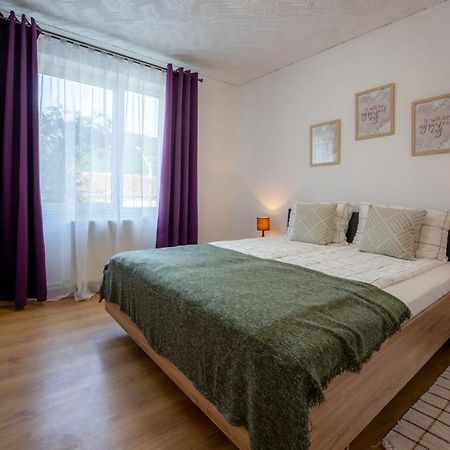Nya Apartment Сигишоара Екстериор снимка