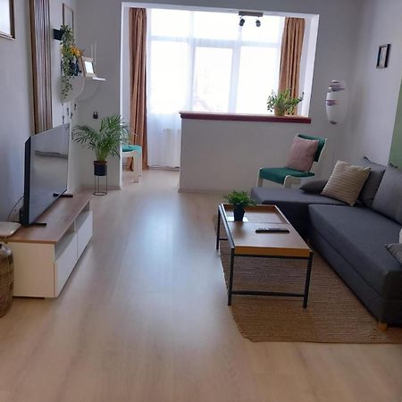 Nya Apartment Сигишоара Екстериор снимка